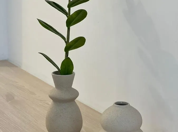 Daire Calm Joy & J - Bee