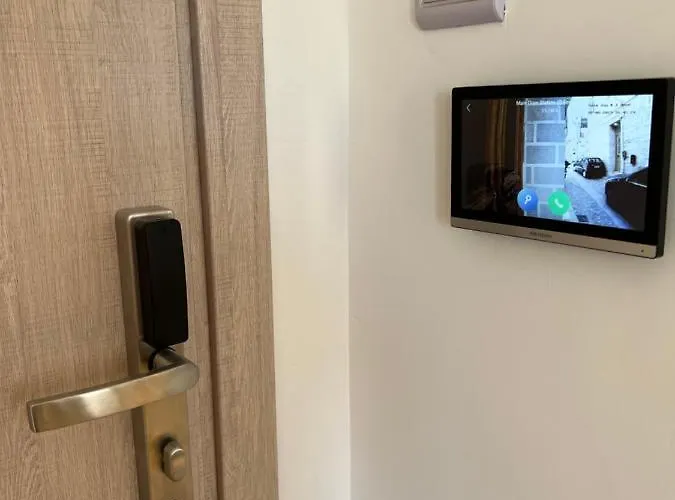 Daire Calm Joy & J - Bee *